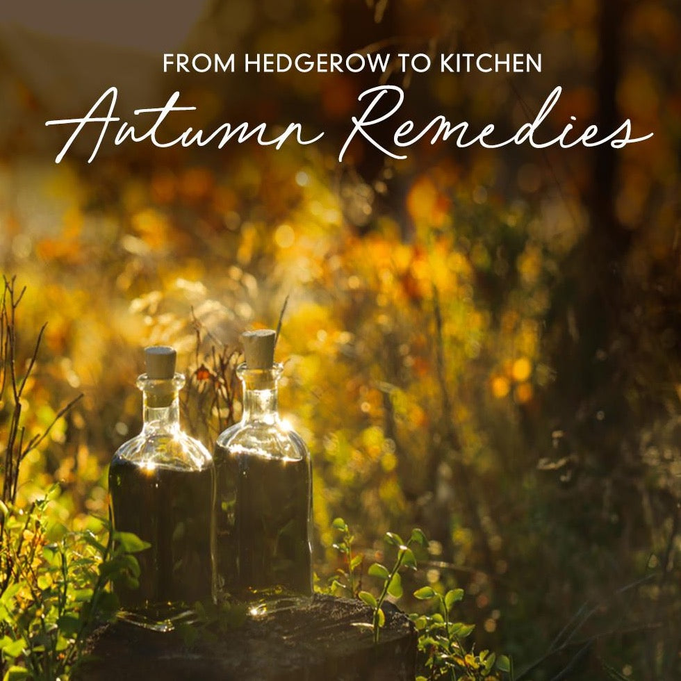 Hedgerow to Kitchen Medicine Series: Autumn Remedies