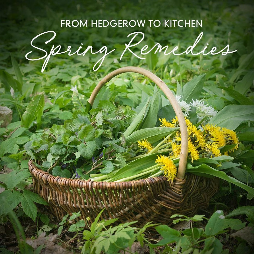 Hedgerow to Kitchen Medicine Series: Spring Remedies