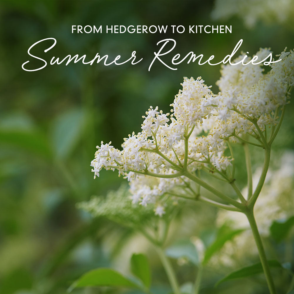 Hedgerow to Kitchen Medicine Series: Summer Remedies